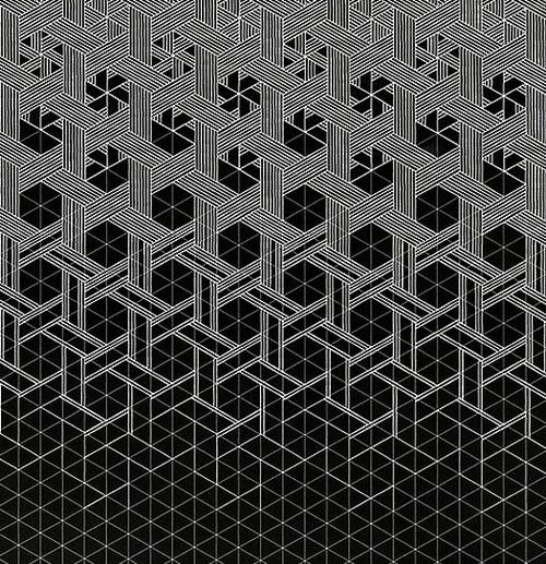 black_and_white_hexagon_bathroom_tile_9