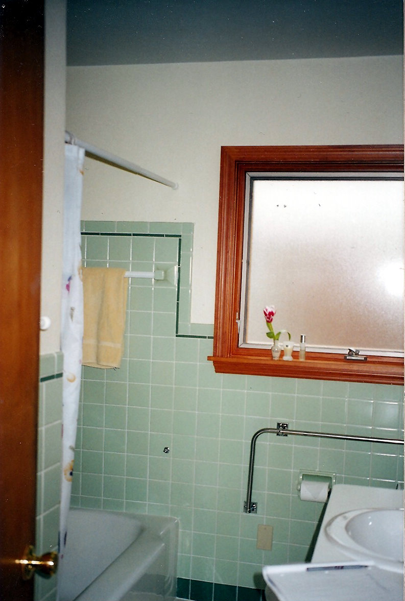 vintage scout bath remodel before