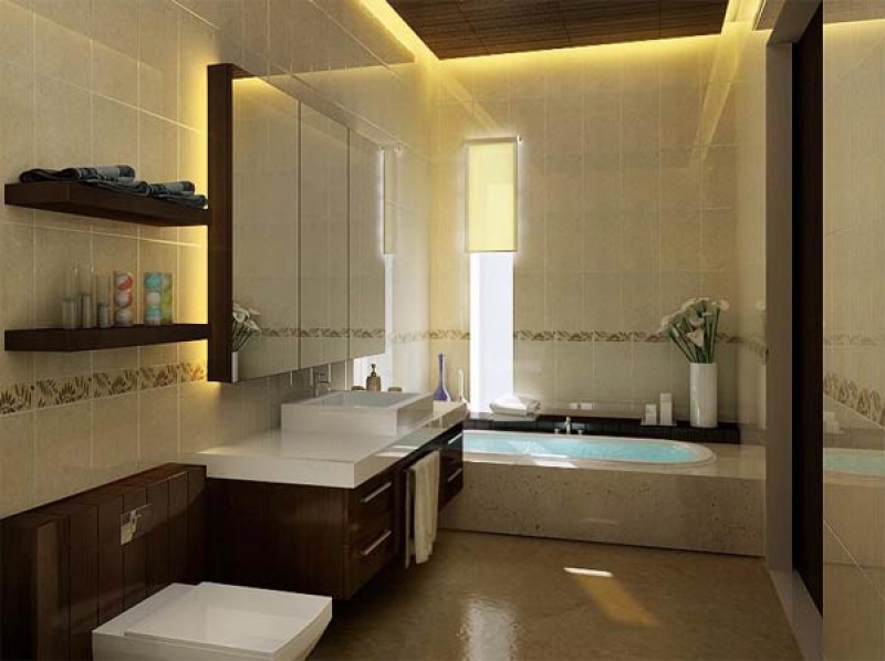 7476-photo-of-small-modern-bathroom-design-number-667_800x600