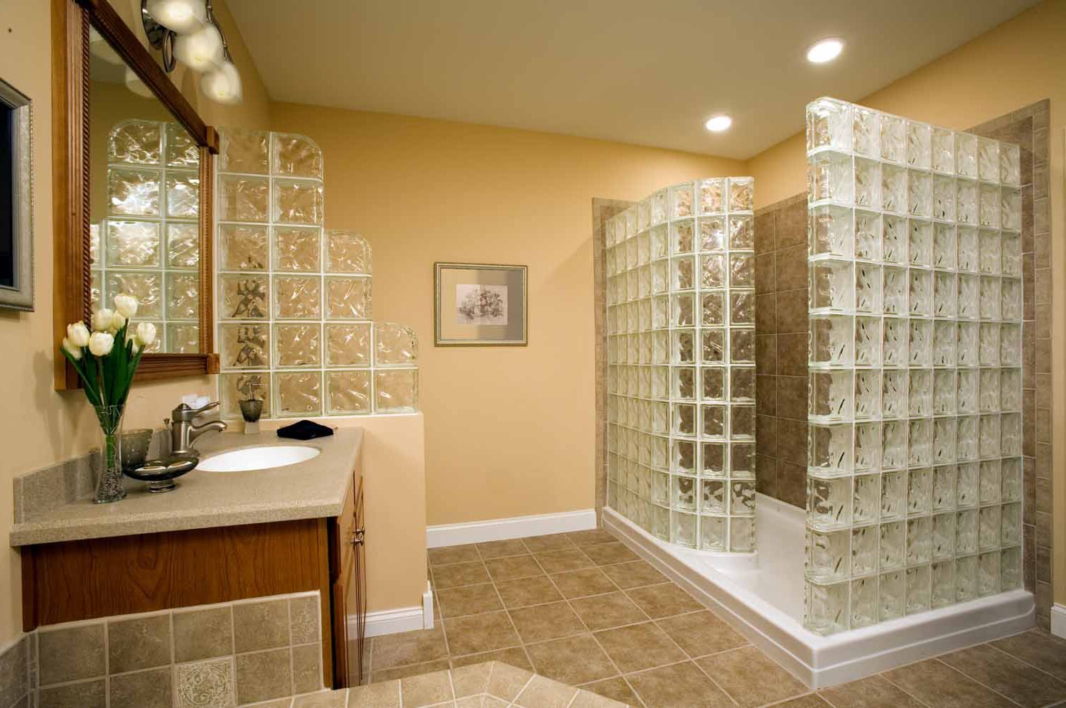 glass-block-ideas-traditional-small-bathroom-renovations